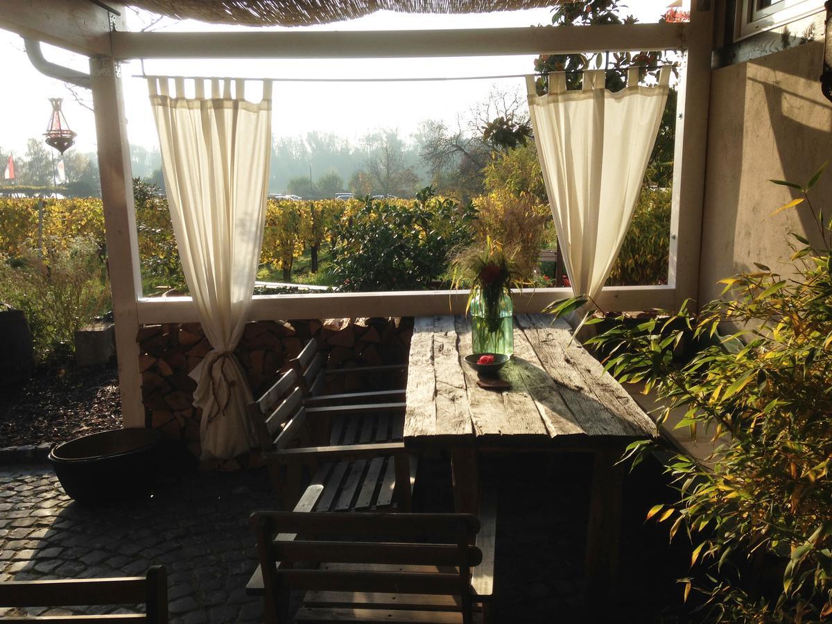 Liegen;Schaft Guesthouse Oestrich-Winkel Εξωτερικό φωτογραφία